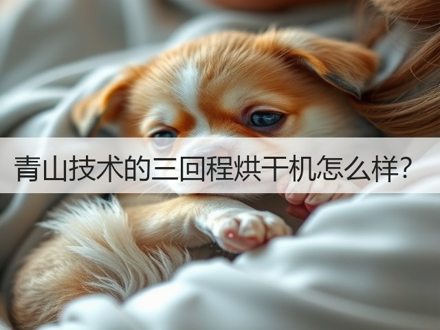 青山技术的三回程烘干机怎么样?(图3) 青山技术的三回程烘干机怎么样?(图3)