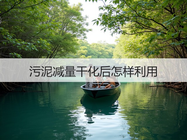 污泥减量干化后怎样利用(图3)