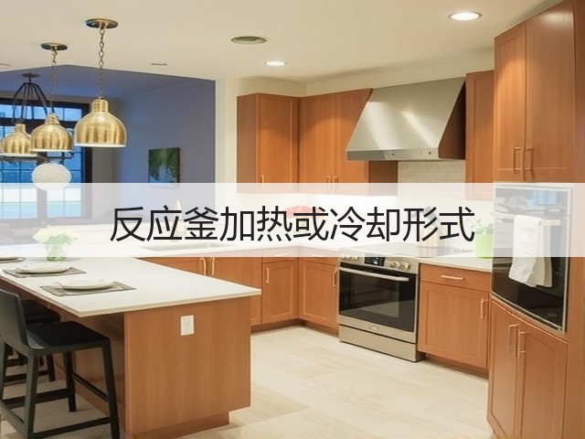 反应釜加热或冷却形式(图1) 反应釜加热或冷却形式(图1)