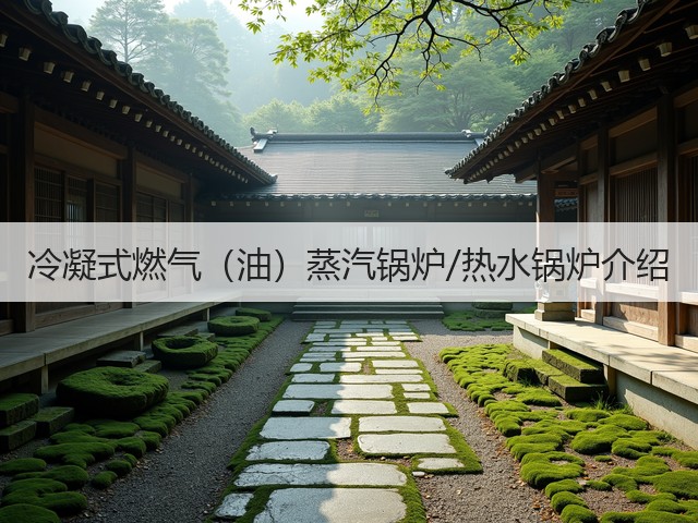 冷凝式燃气(油)蒸汽锅炉/热水锅炉介绍(图2) 冷凝式燃气(油)蒸汽锅炉/热水锅炉介绍(图2)