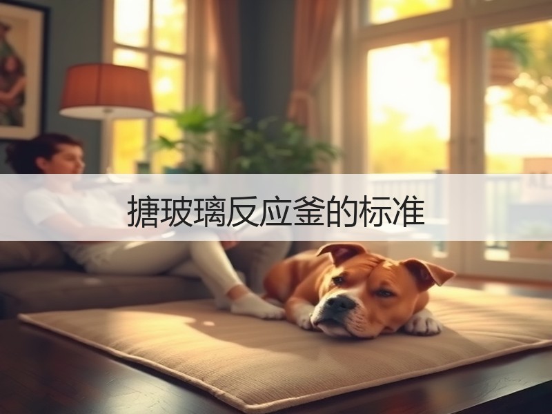 搪玻璃反应釜的标准