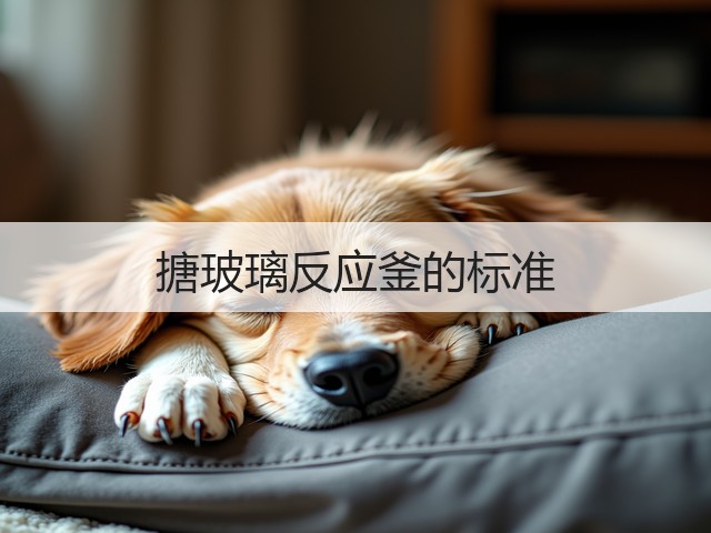搪玻璃反应釜的标准(图3)