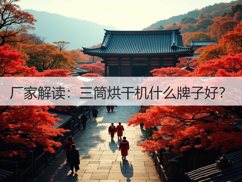 厂家解读：三筒烘干机什么牌子好？