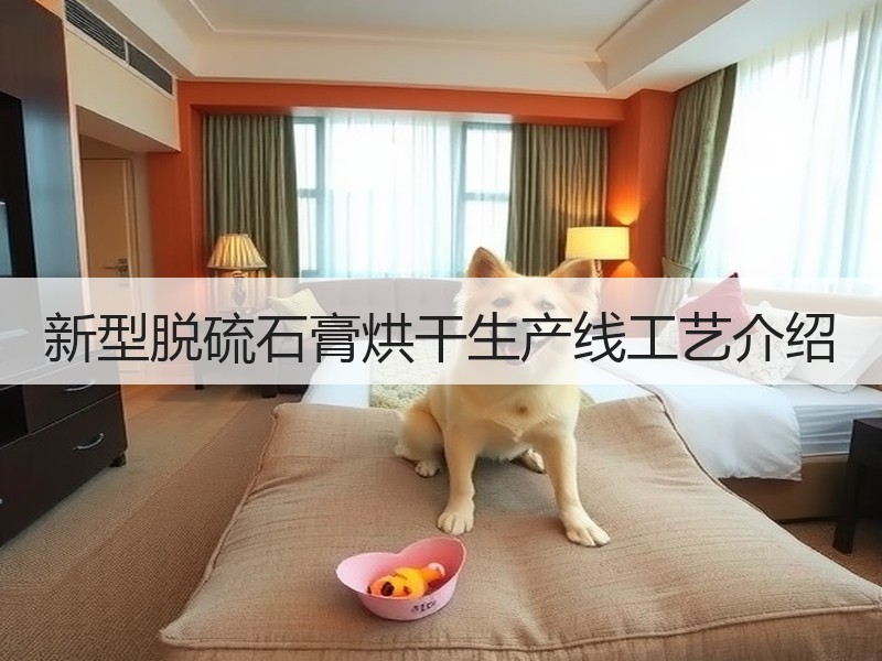 新型脱硫石膏烘干生产线工艺介绍