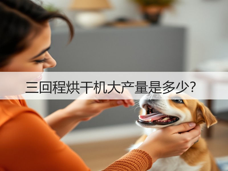 三回程烘干机大产量是多少？