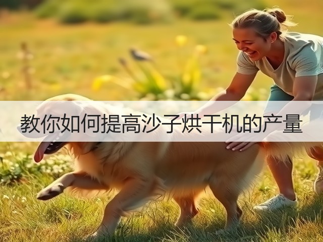 教你如何提高沙子烘干机的产量(图2) 教你如何提高沙子烘干机的产量(图2)