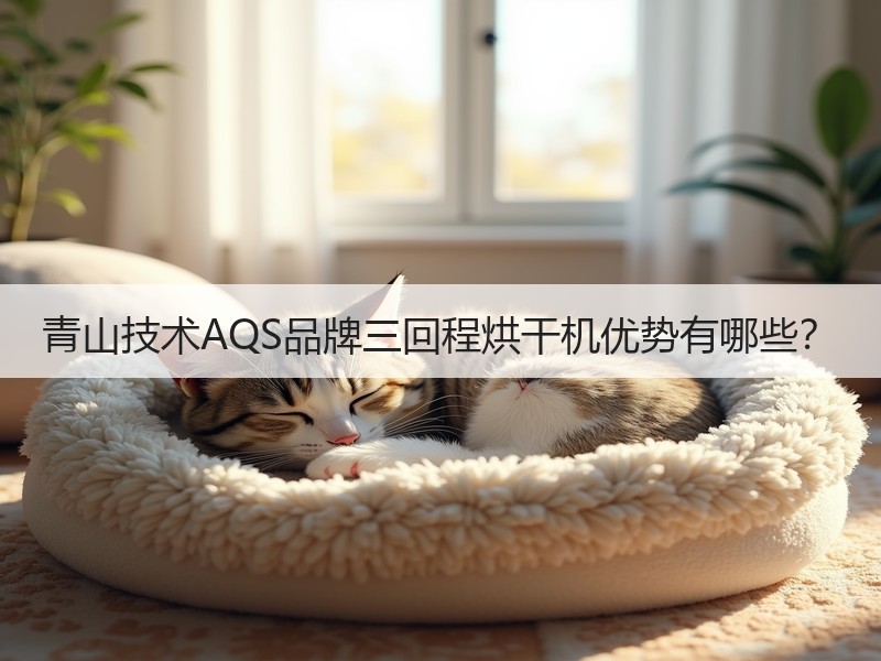 青山技术AQS品牌三回程烘干机优势有哪些？