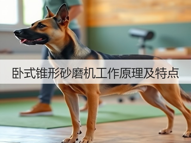 卧式锥形砂磨机工作原理及特点(图1) 卧式锥形砂磨机工作原理及特点(图1)