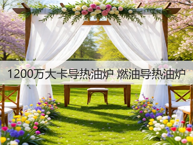 1200万大卡导热油炉 燃油导热油炉(图1)