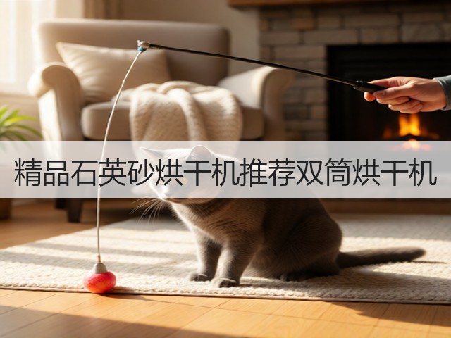 精品石英砂烘干机推荐双筒烘干机(图2)