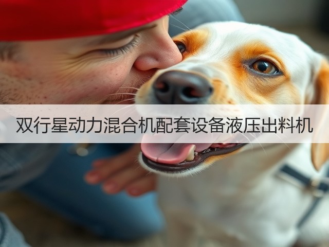 双行星动力混合机配套设备液压出料机(图2) 双行星动力混合机配套设备液压出料机(图2)