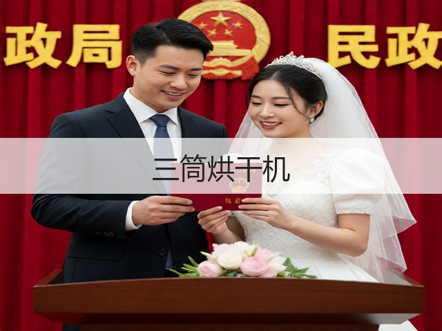 三筒烘干机(图3)