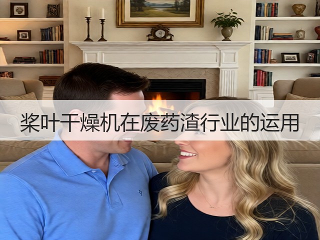 桨叶干燥机在废药渣行业的运用(图1)