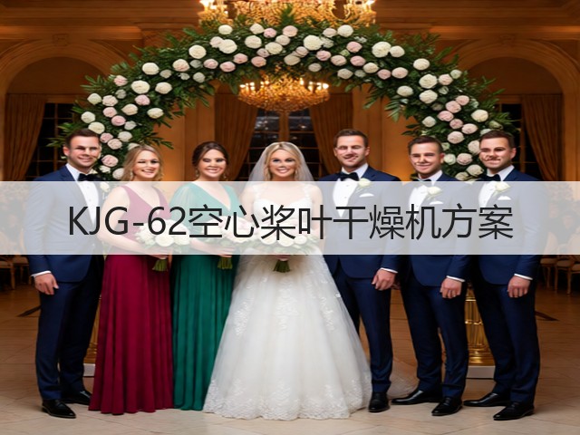 KJG-62空心桨叶干燥机方案(图1)