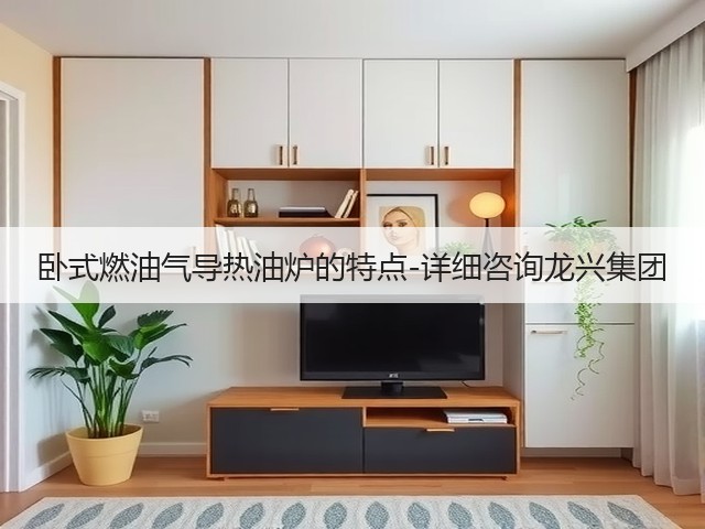 卧式燃油气导热油炉的特点-详细咨询龙兴集团(图2)