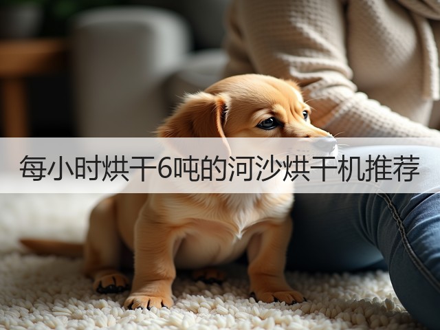 每小时烘干6吨的河沙烘干机推荐(图2) 每小时烘干6吨的河沙烘干机推荐(图2)