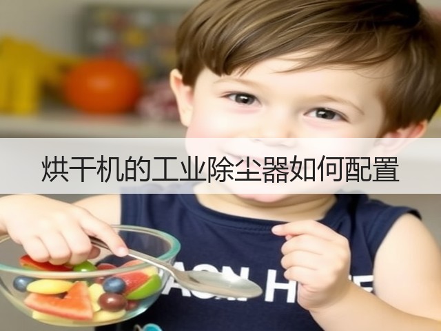 烘干机的工业除尘器如何配置(图2) 烘干机的工业除尘器如何配置(图2)