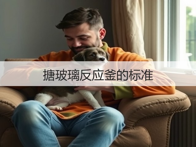 搪玻璃反应釜的标准(图2)