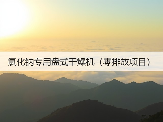 氯化钠专用盘式干燥机（零排放项目）(图2)