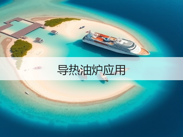 导热油炉应用(图2)