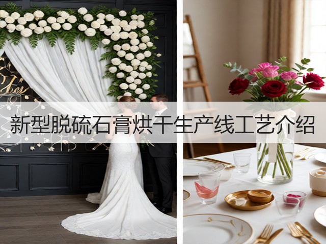 新型脱硫石膏烘干生产线工艺介绍(图2) 新型脱硫石膏烘干生产线工艺介绍(图2)