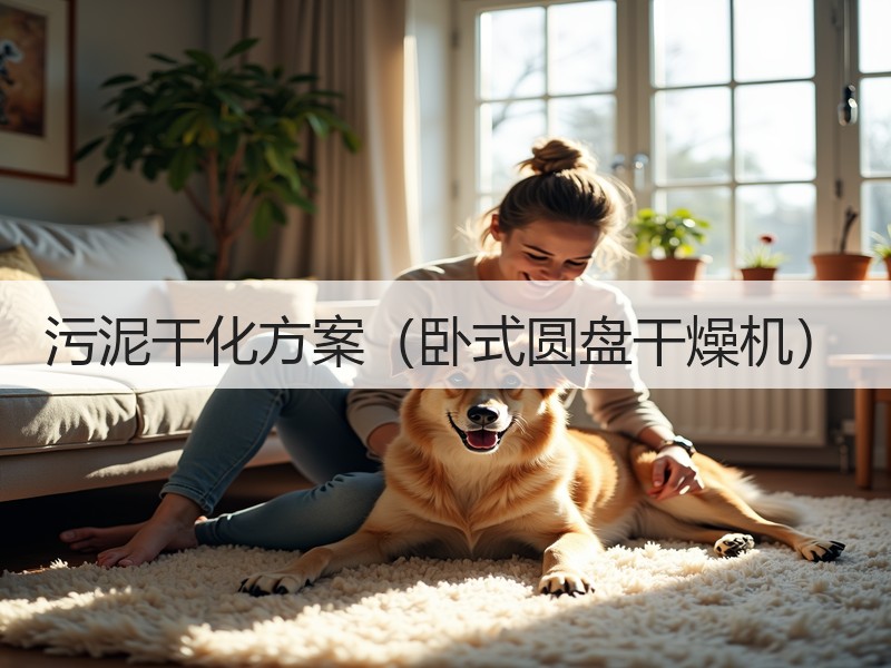 污泥干化方案(卧式圆盘干燥机) 污泥干化方案(卧式圆盘干燥机)