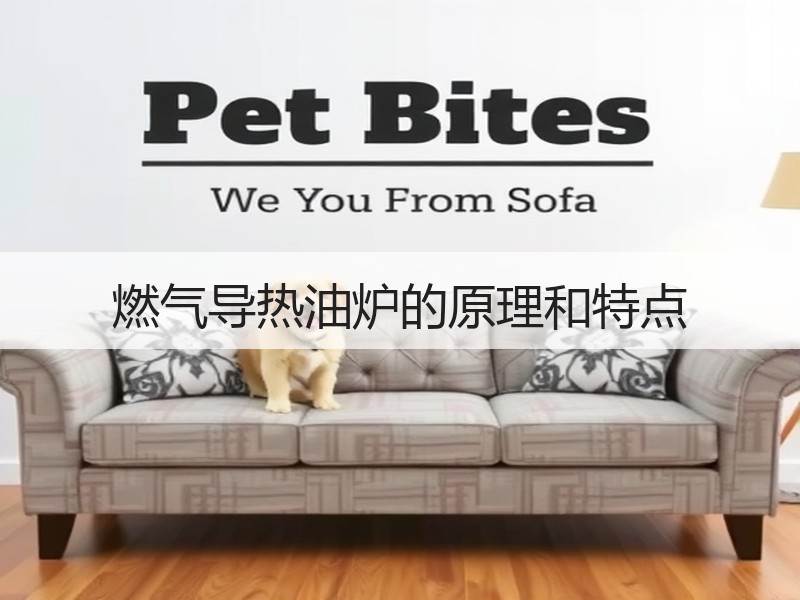燃气导热油炉的原理和特点