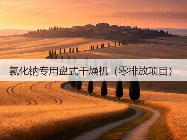 氯化钠专用盘式干燥机（零排放项目）(图1)