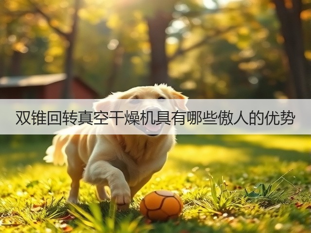 双锥回转真空干燥机具有哪些傲人的优势(图2)