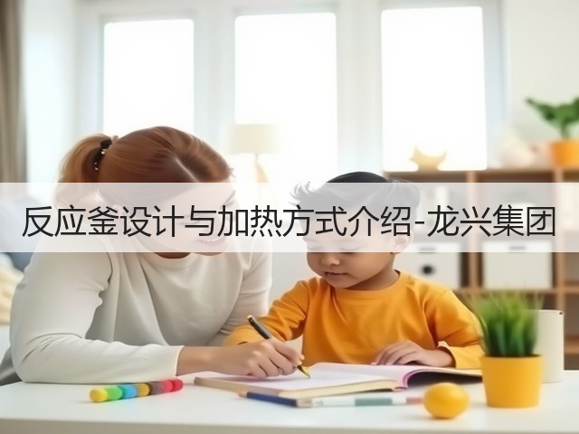 反应釜设计与加热方式介绍-龙兴集团(图1)