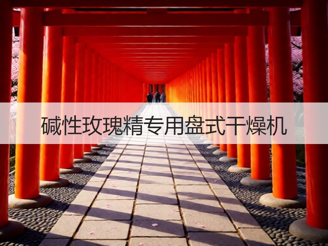碱性玫瑰精专用盘式干燥机(图1)