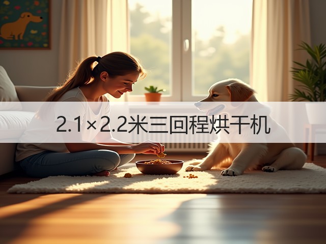 2.1×2.2米三回程烘干机(图2)