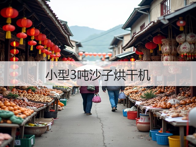 小型3吨沙子烘干机(图2)