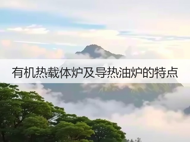 有机热载体炉及导热油炉的特点(图1) 有机热载体炉及导热油炉的特点(图1)