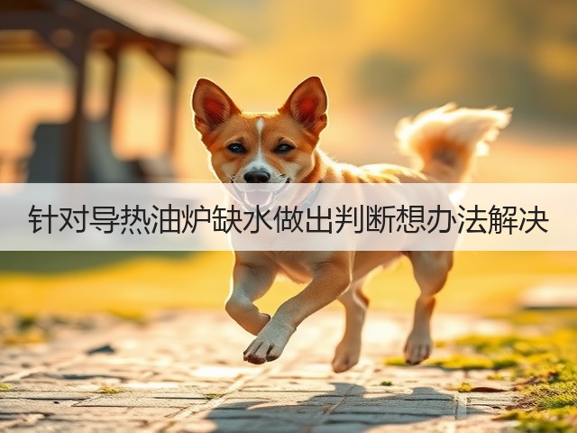 针对导热油炉缺水做出判断想办法解决(图3) 针对导热油炉缺水做出判断想办法解决(图3)