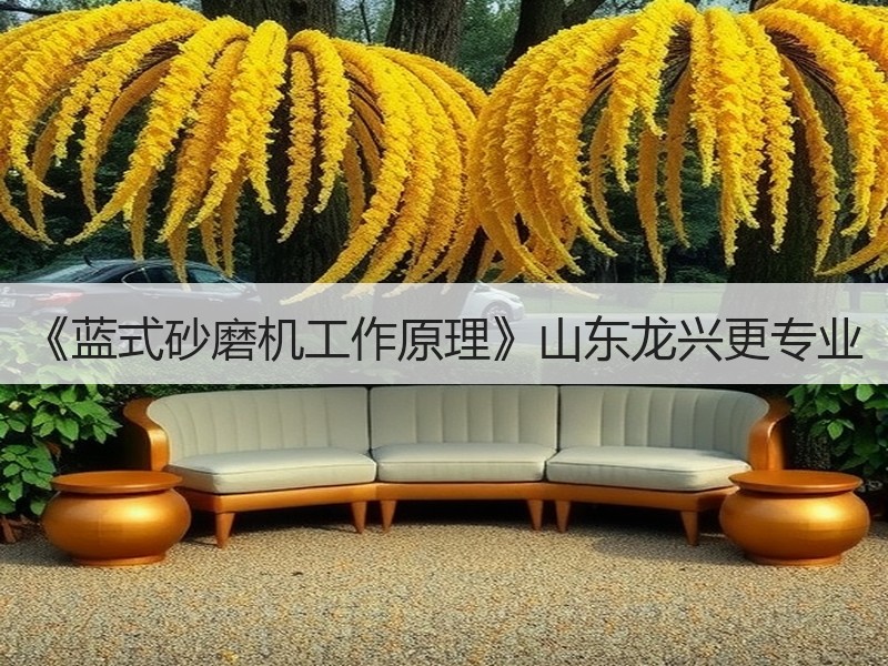 《蓝式砂磨机工作原理》山东龙兴更专业