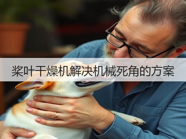 桨叶干燥机解决机械死角的方案(图3) 桨叶干燥机解决机械死角的方案(图3)