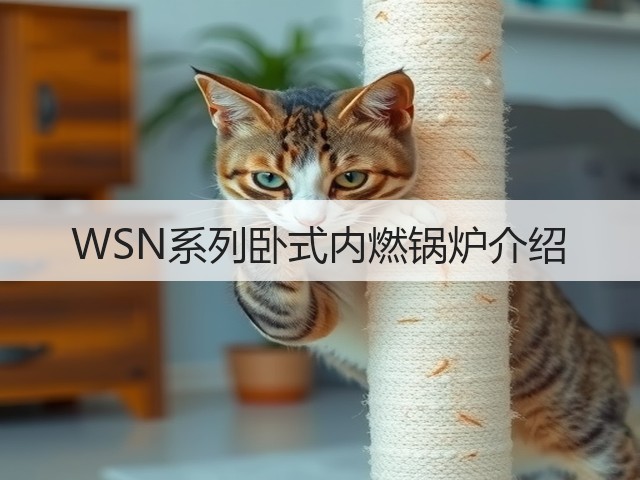 WSN系列卧式内燃锅炉介绍(图2) WSN系列卧式内燃锅炉介绍(图2)