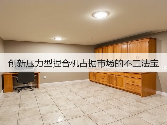 创新压力型捏合机占据市场的不二法宝(图1)