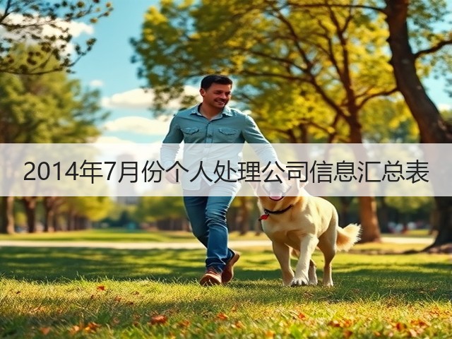 2014年7月份个人处理公司信息汇总表(图3) 2014年7月份个人处理公司信息汇总表(图3)