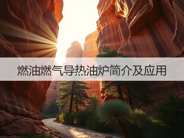 燃油燃气导热油炉简介及应用(图1)