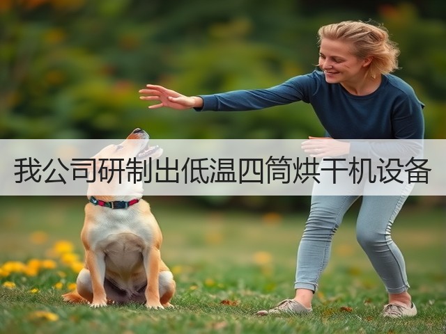 我公司研制出低温四筒烘干机设备(图1)