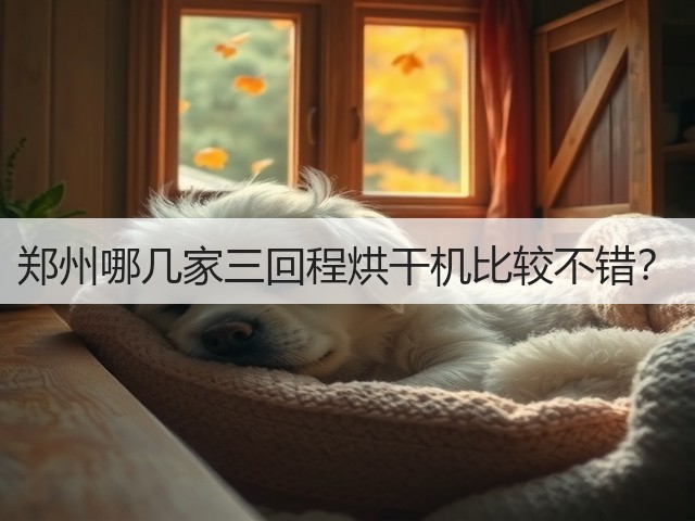 郑州哪几家三回程烘干机比较不错?(图1) 郑州哪几家三回程烘干机比较不错?(图1)