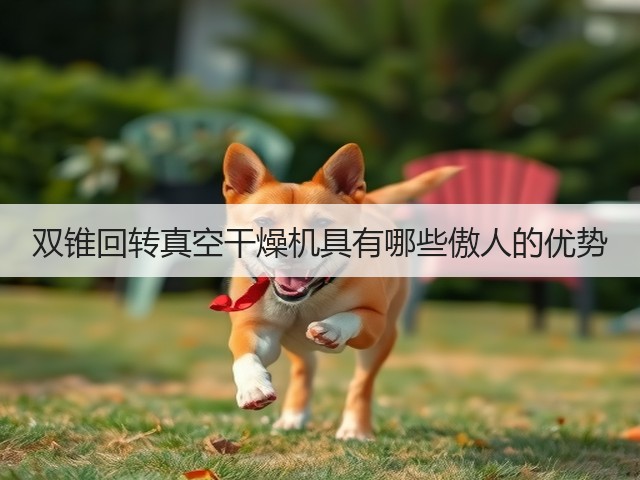 双锥回转真空干燥机具有哪些傲人的优势(图1)