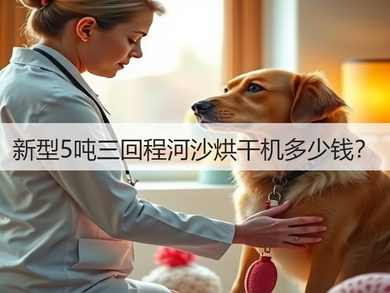 新型5吨三回程河沙烘干机多少钱？