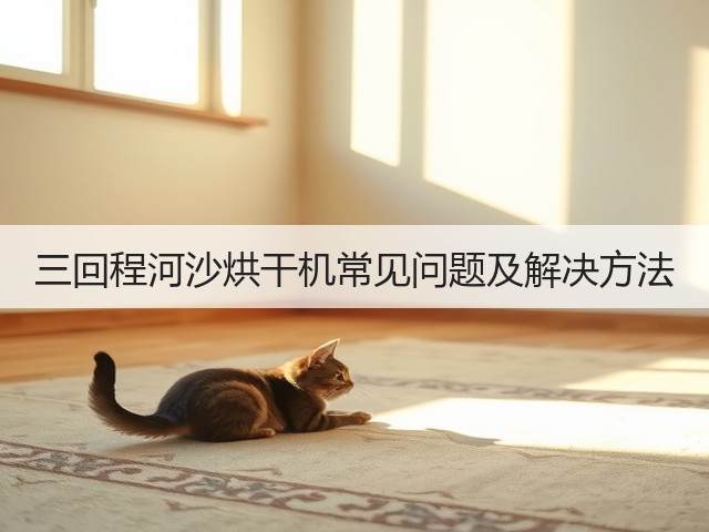 三回程河沙烘干机常见问题及解决方法(图2)