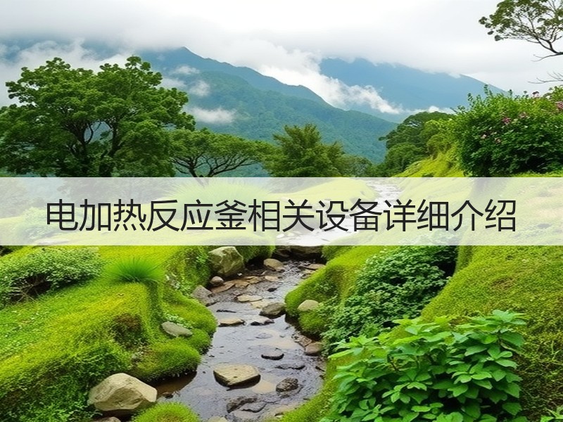 电加热反应釜相关设备详细介绍