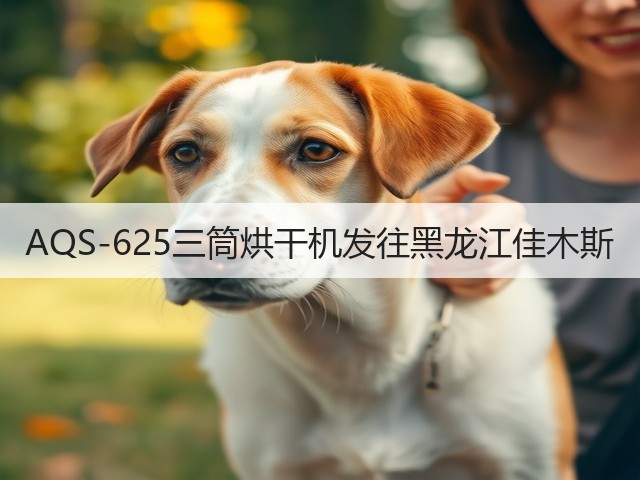 AQS-625三筒烘干机发往黑龙江佳木斯(图2)