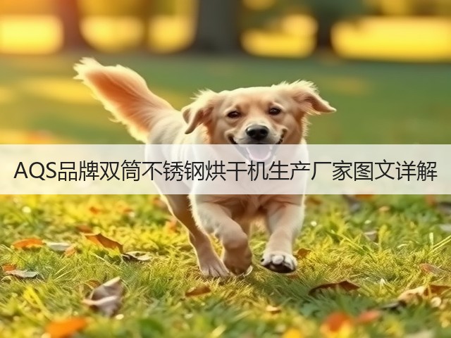 AQS品牌双筒不锈钢烘干机生产厂家图文详解(图1) AQS品牌双筒不锈钢烘干机生产厂家图文详解(图1)