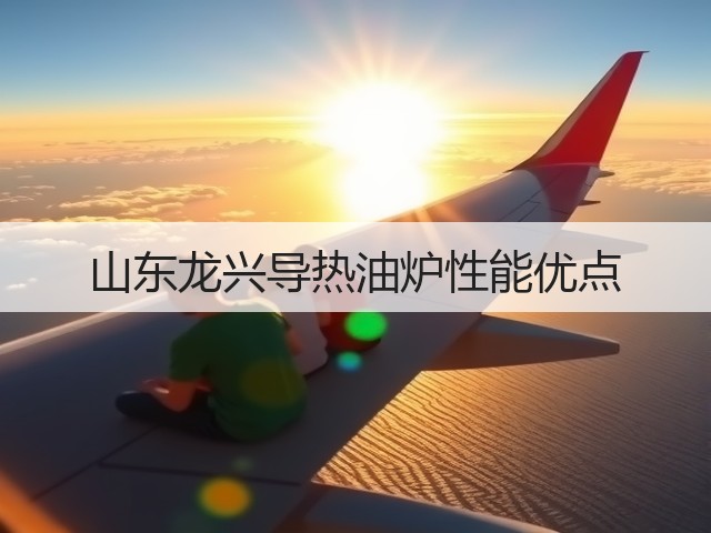 山东龙兴导热油炉性能优点(图1) 山东龙兴导热油炉性能优点(图1)